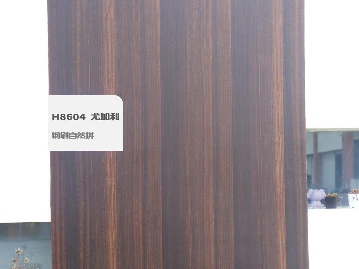 H8604 尤加利鋼刷自然拼