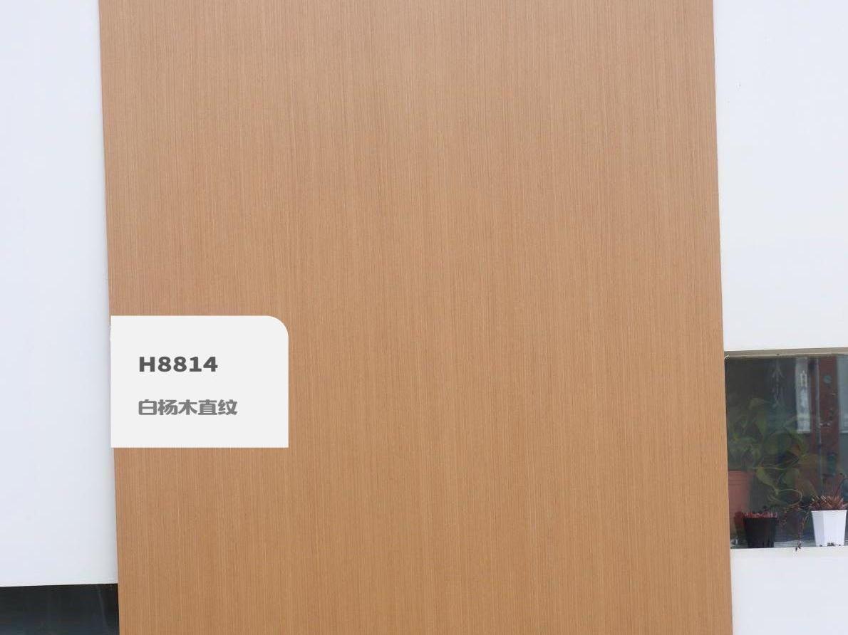 H8814白楊木直紋