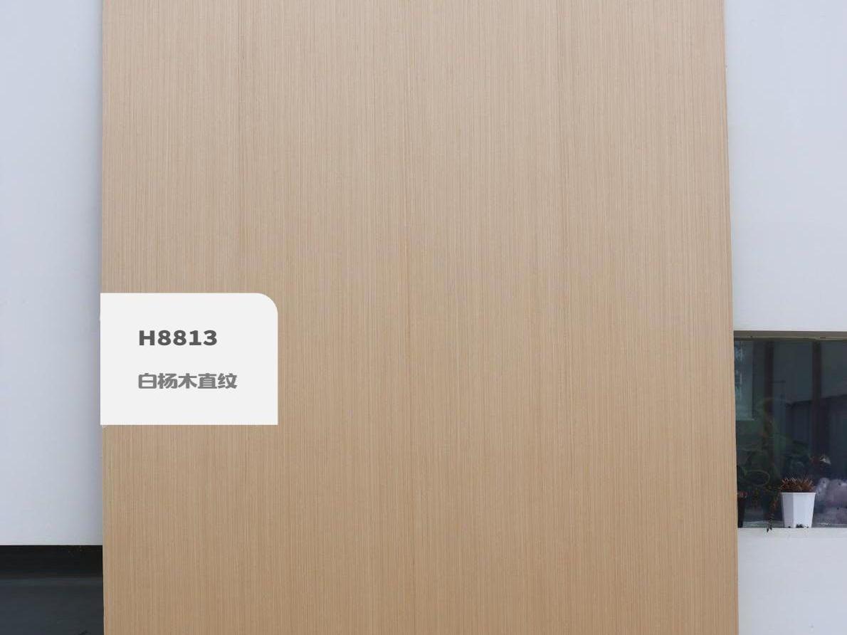 H8813白楊木直紋