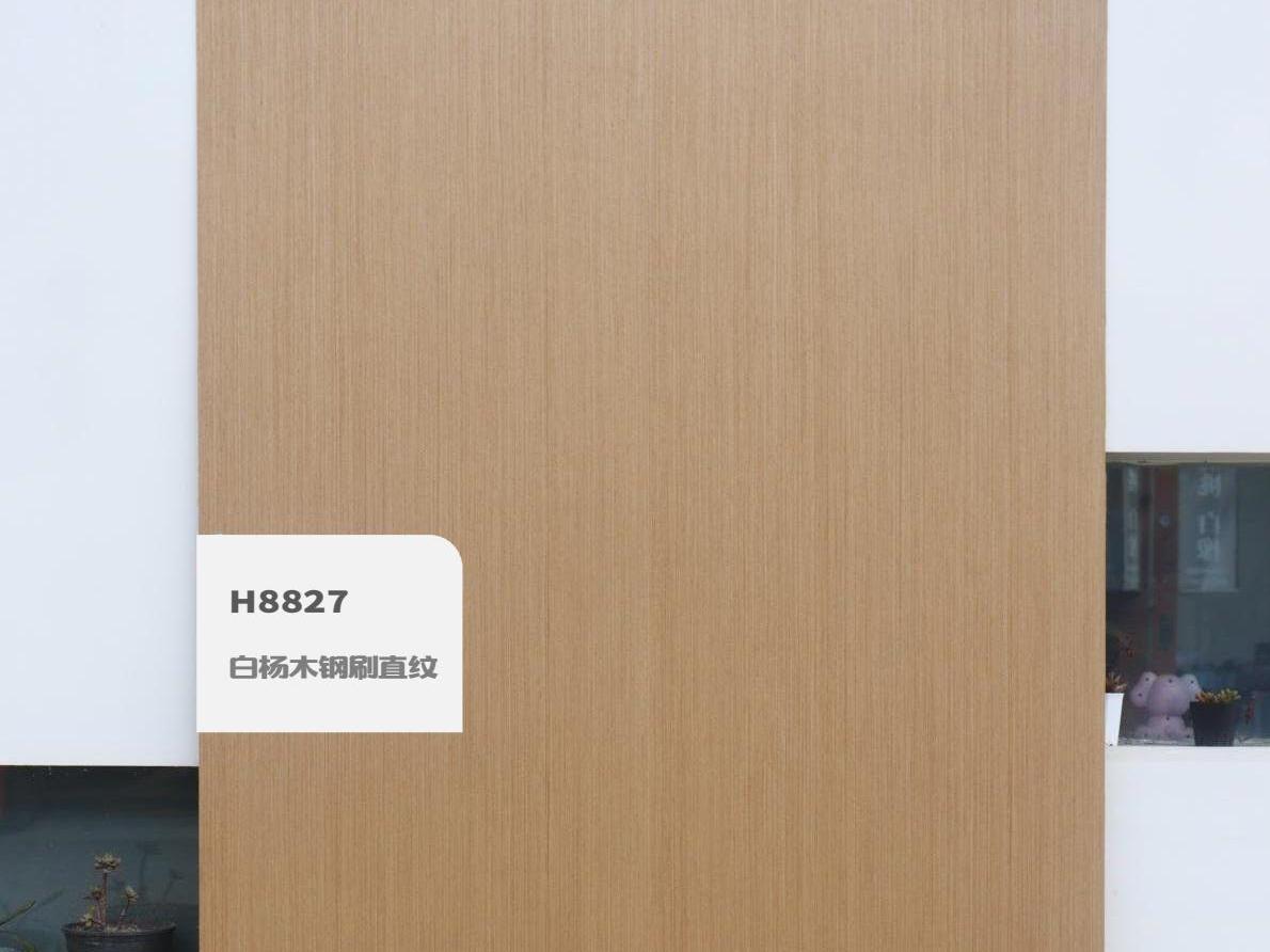 歐雅涂裝板電子樣冊(cè)（實(shí)拍） 1-逐頁轉(zhuǎn)圖片-00030